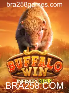Explorando o Fascinante Mundo de BuffaloWin com BRA258.COM
